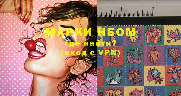 крисы Алзамай